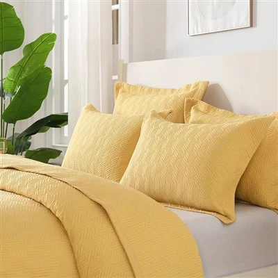 Solid Embroidered Cotton Quilt Set
